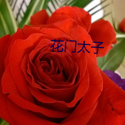 花門太子