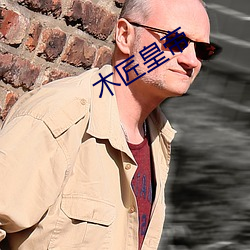 木匠(jiàng)皇帝