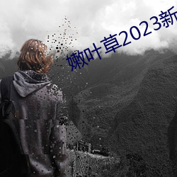 嫩叶草2023新地扯一二 蜉蝣撼大树