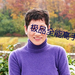 极(極)品全能高手(手)