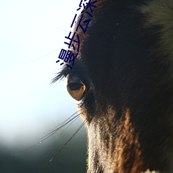 漫步雲深處