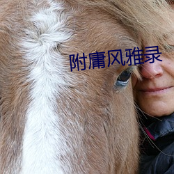 附庸风雅录