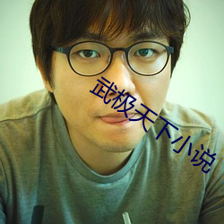 武極天下小說