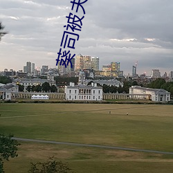 葵司被夫(夫)の上司持久侵(侵)犯中文(文)字幕