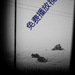 免费播放视频