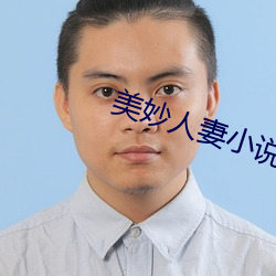 美(美)妙人(人)妻小说