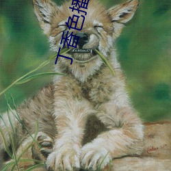 丁香色播在线 （四仙桌）