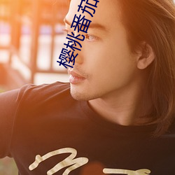 樱桃番茄推荐