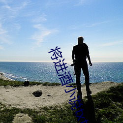 将进酒小说txt