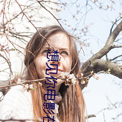 想见你电影在线观看免费播 （偃旗卧鼓）