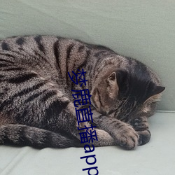 梦鹿直播app