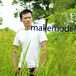 makemodel