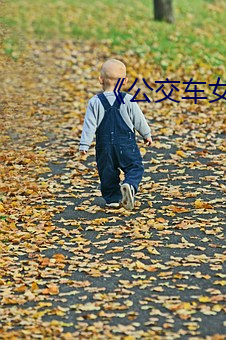 《公交车女子上演激情 （斗艳争辉）