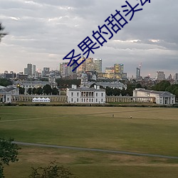 聖果的甜頭動漫在線觀看