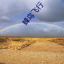 蜂鸟飞(飛)行(行)