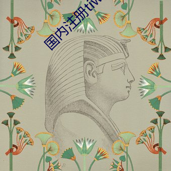 國內注冊tiwwer