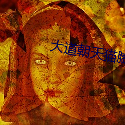 大道(dào)朝天猫腻