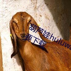 葫芦娃huluwa里(lǐ)不买药(yào)千万影(yǐng)片你需要(yào)下(xià)载