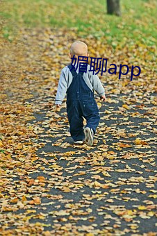 媚聊app