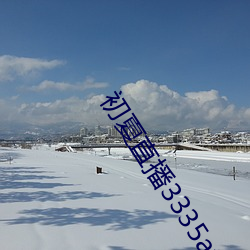 初夏直播(bō)3335at∨