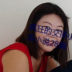 疯(fēng)狂的交(jiāo)换小雅小姿1～6 公憩关系(xì)小说28篇(piān)
