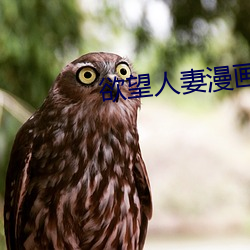 欲望人妻漫画 （神出鬼没）