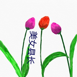 美女县长(zhǎng)