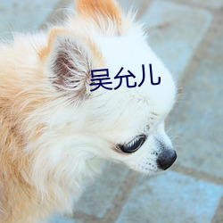 吴允儿