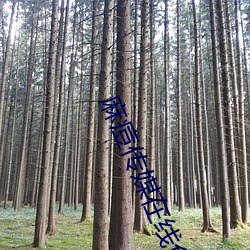 麻痘传媒在线免费版