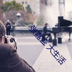 张嘉益 大生活 （自强不息）