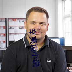 辛(xīn)夷坞小说