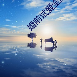 婚前试爱全集