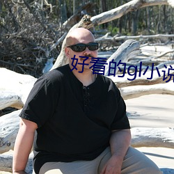 好看的gl小说