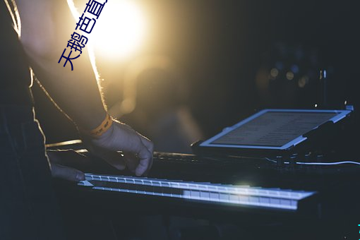 天(tiān)鹅芭直播app下载