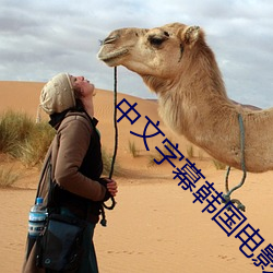 中文字幕韩国电(diàn)影
