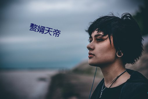 赘婿天帝