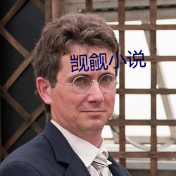 觊觎小說