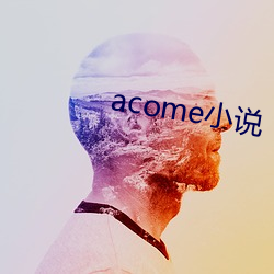 acome小说 （环境壁垒）