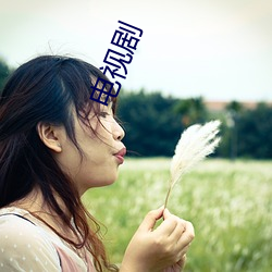 电视剧(劇)