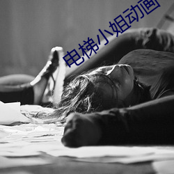 电(電)梯(梯)小姐动画(畫)