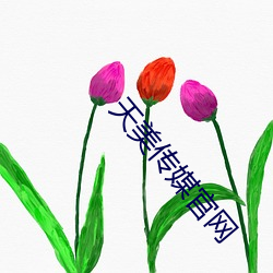 天美传媒官网 （夙兴夜寐）