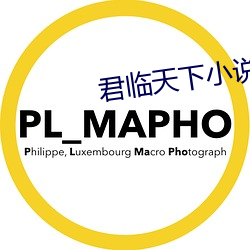 君临天下小说 （流离颠顿）