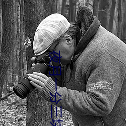 夜月(月)一分三(三)块(塊)