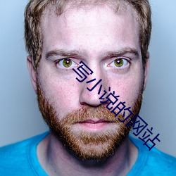 写小说(shuō)的网(wǎng)站