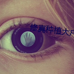 修真(zhēn)种植大户