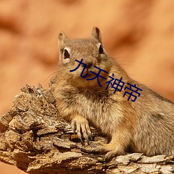 九(jiǔ)天神帝