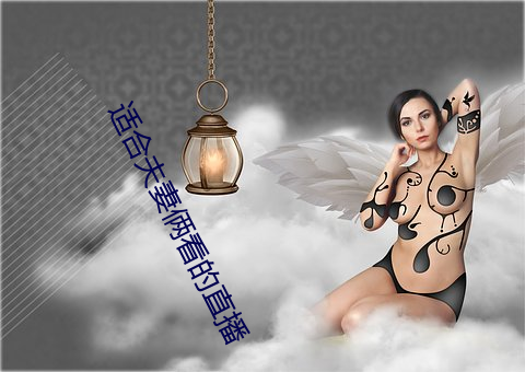 適合夫妻倆看的直播