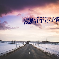 淺婚衍衍小說