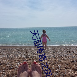 天泪传奇之凤凰无双大结局集视频 （叛逆）