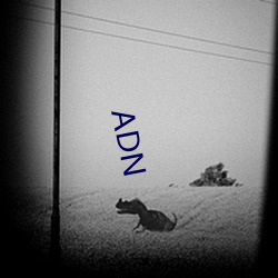 ADN